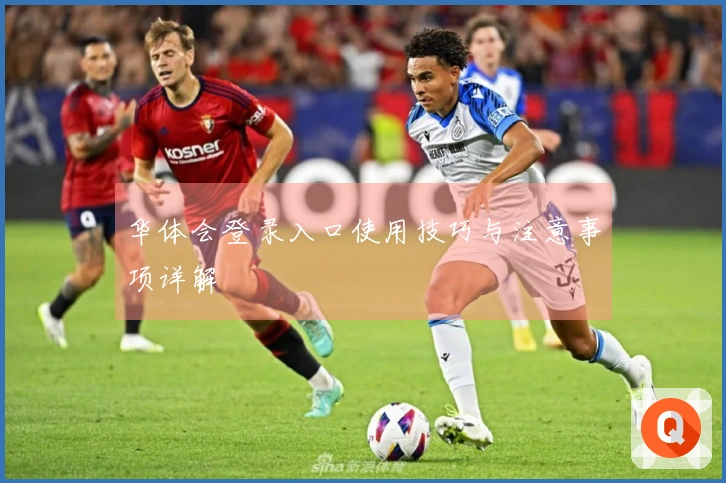 华体会登录入口使用技巧与注意事项详解